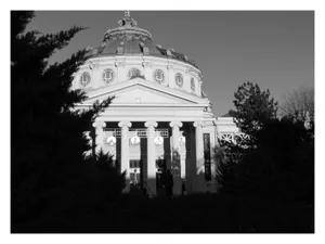 Cultura pentru toți. După Crăciun