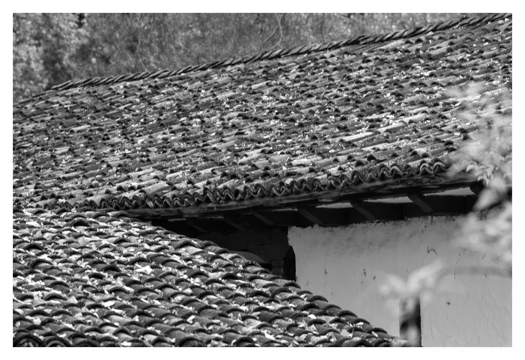 Casă cu acoperiș de olană 