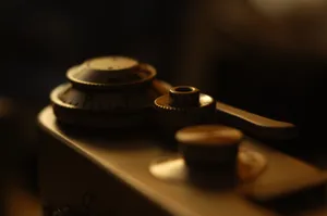 FED în penumbră. Liniștea picura, adierea trecutului era rece