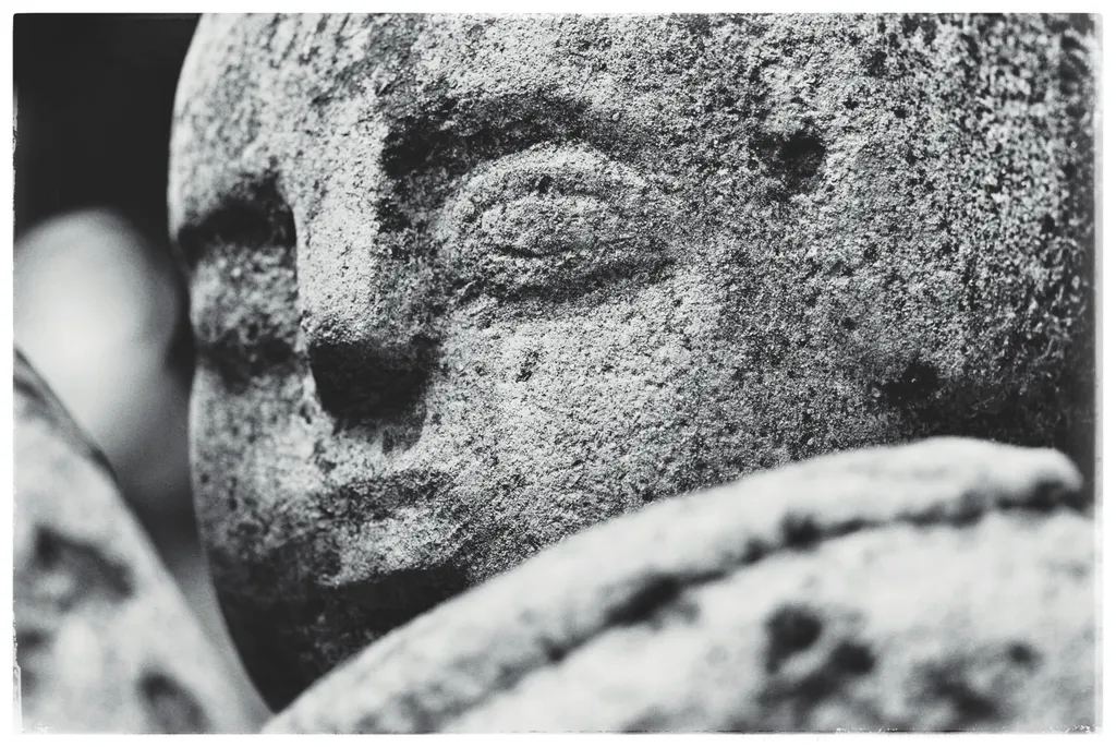 Încapățânare (Rezistență mută). Portret de statuie bosumflată