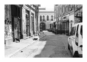 Strada Băcani în lumină aspră