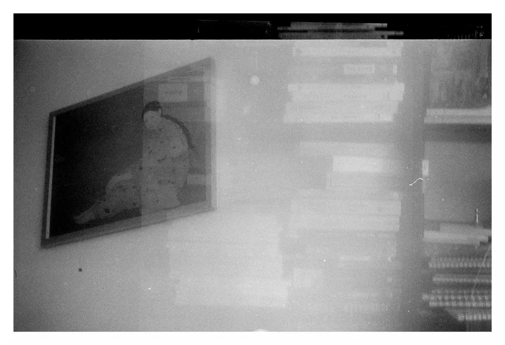 Dublă expunere cu cărți și tablou