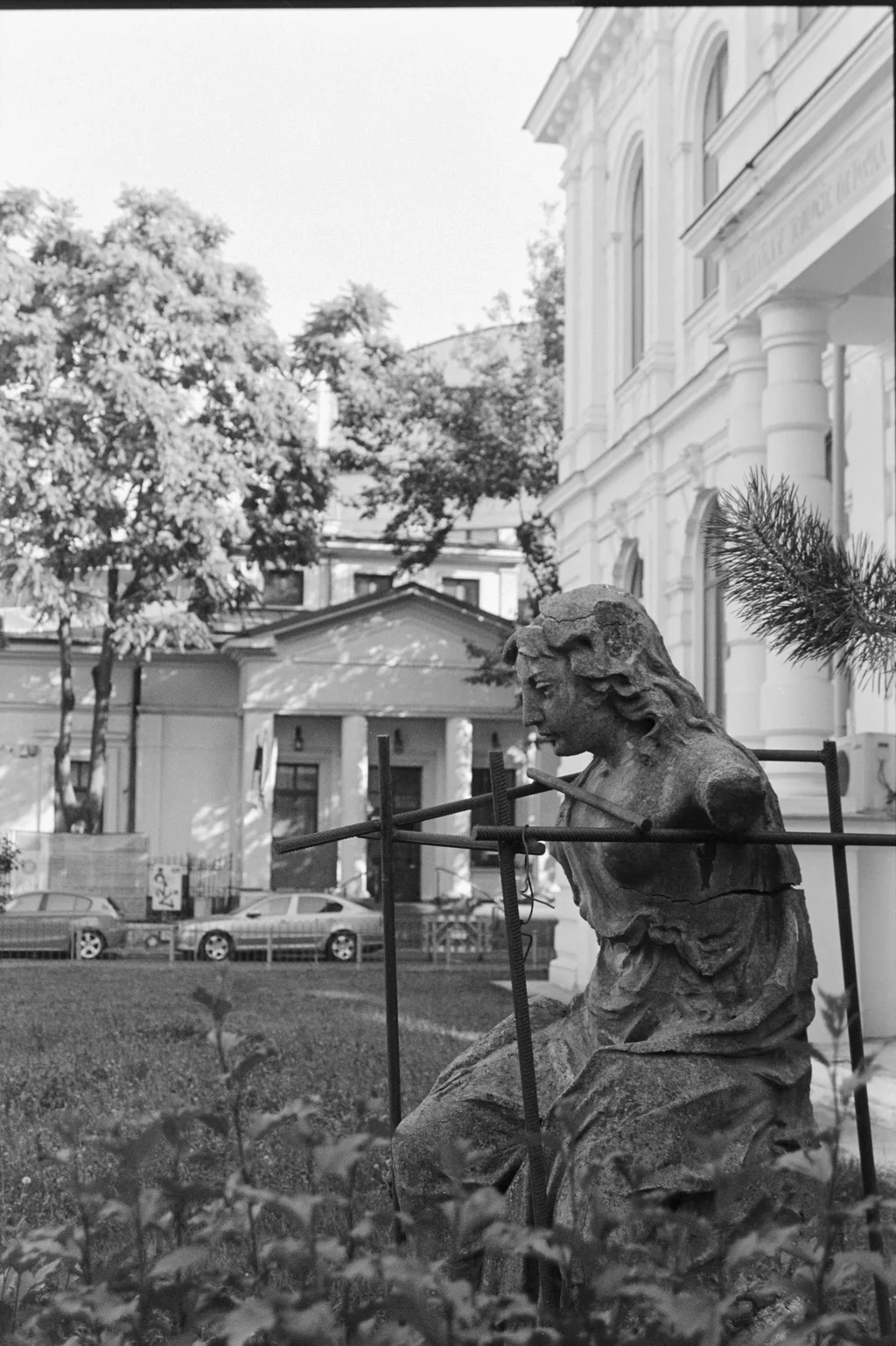Istoria, din profil