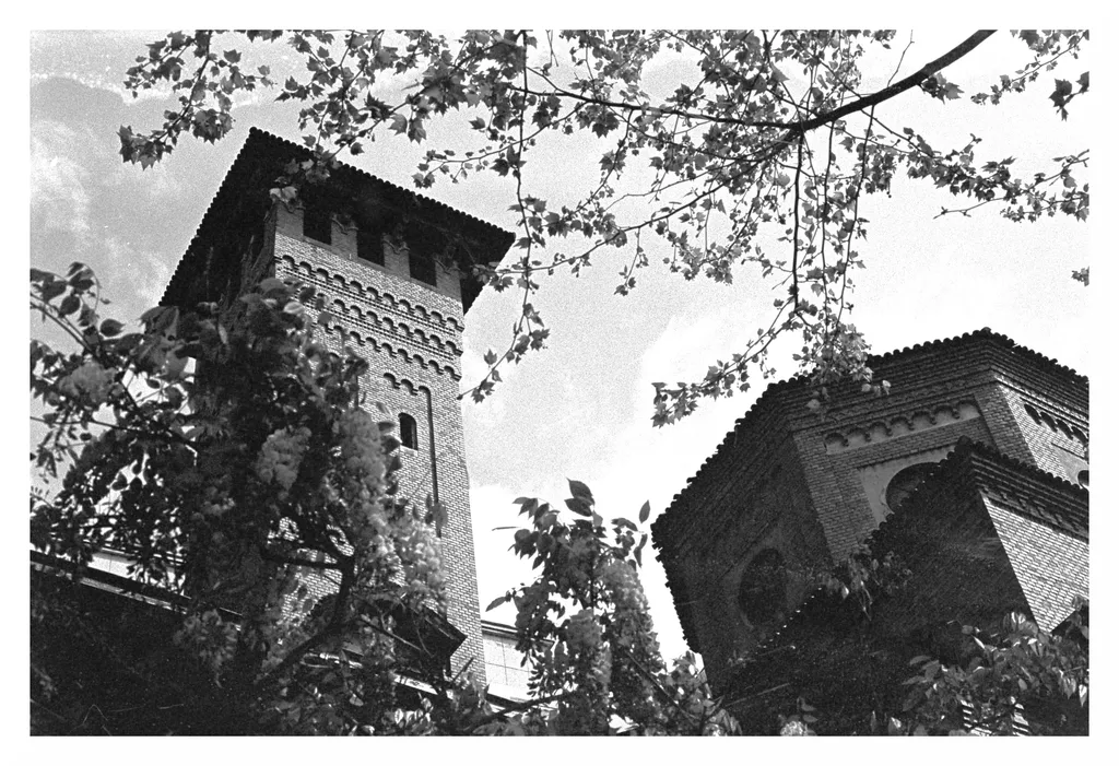 Copaci înfloriți sub biserica italiană