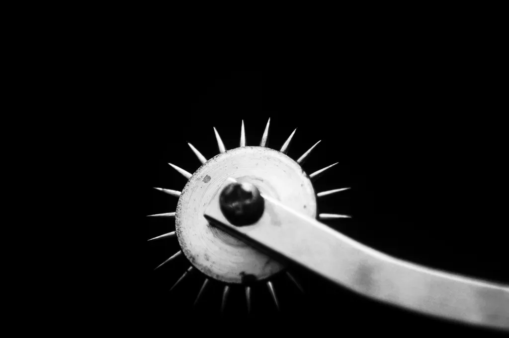 Roata de marcare. Se foloseste pe piele, pentru asamblarea monstrului lui Frankenstein.