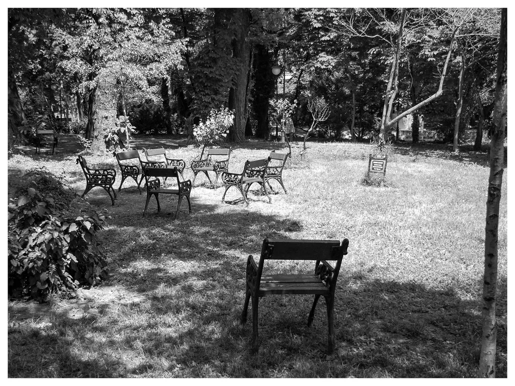 Scaunele. Adunare secretă în parcul Cișmigiu