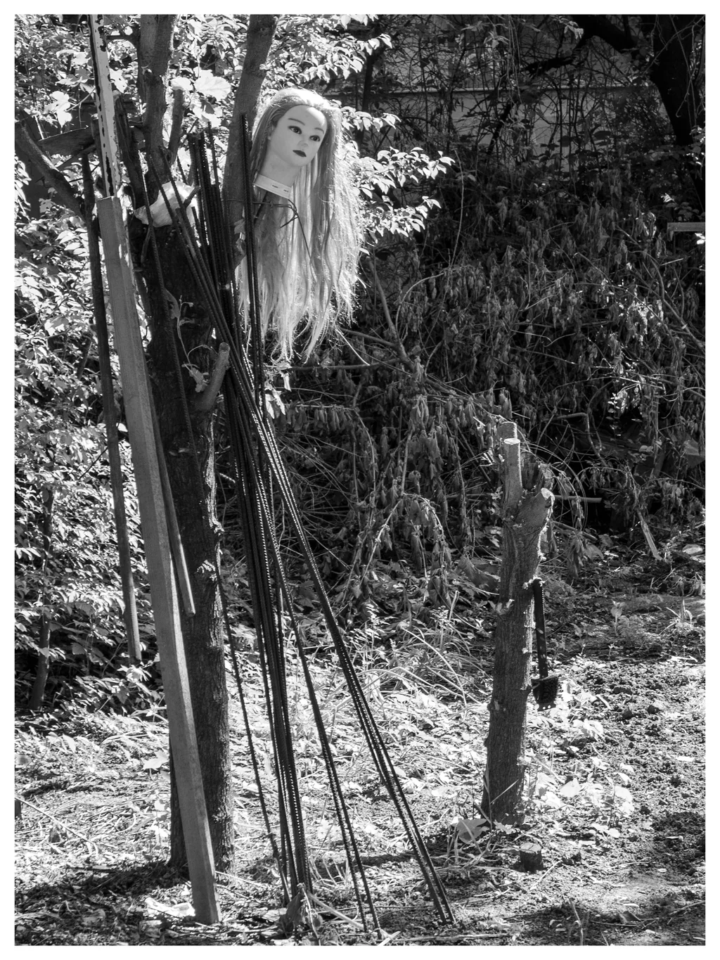 Hoodoo. Cap de manechin care alungă suflete