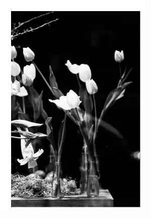 Cele două întâlniri. Lalele albe și o reflexie