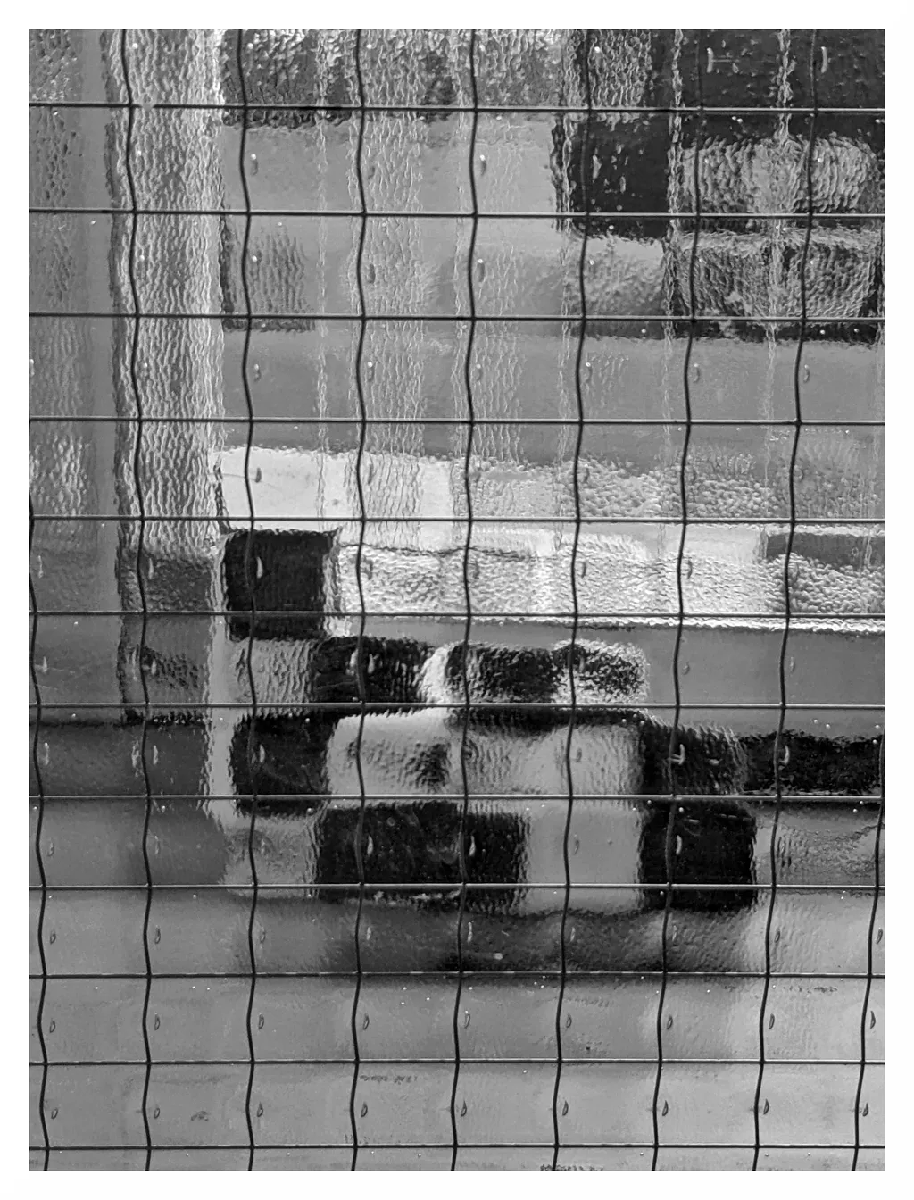 Pisicub. Dincolo de sticla securizată