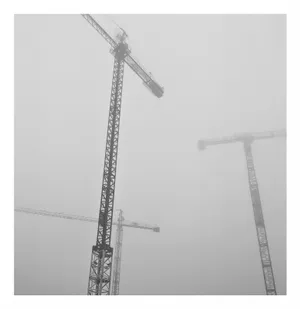 Râd în soare. Macarale în ceață.