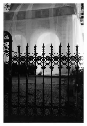 Fantoma restaurantului Cina