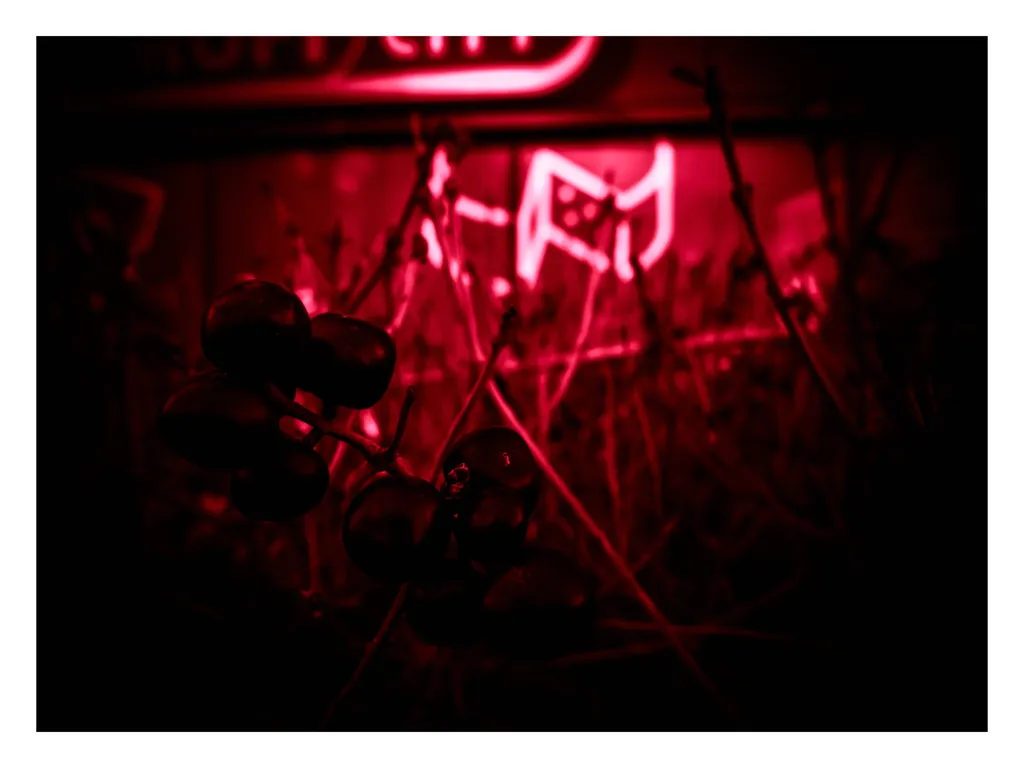 Srpski osećaj bića