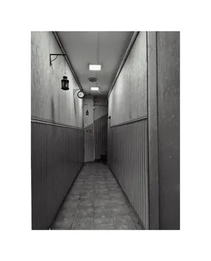 Intrare. Holul de acces al unui bloc, începutul unui film horror sau al unei comedii negre.