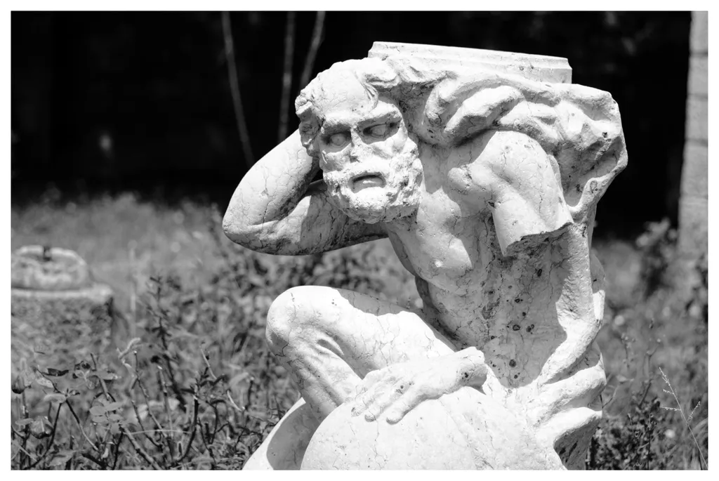 Sisiful ciung. Cineva are acasă un braț de piatră