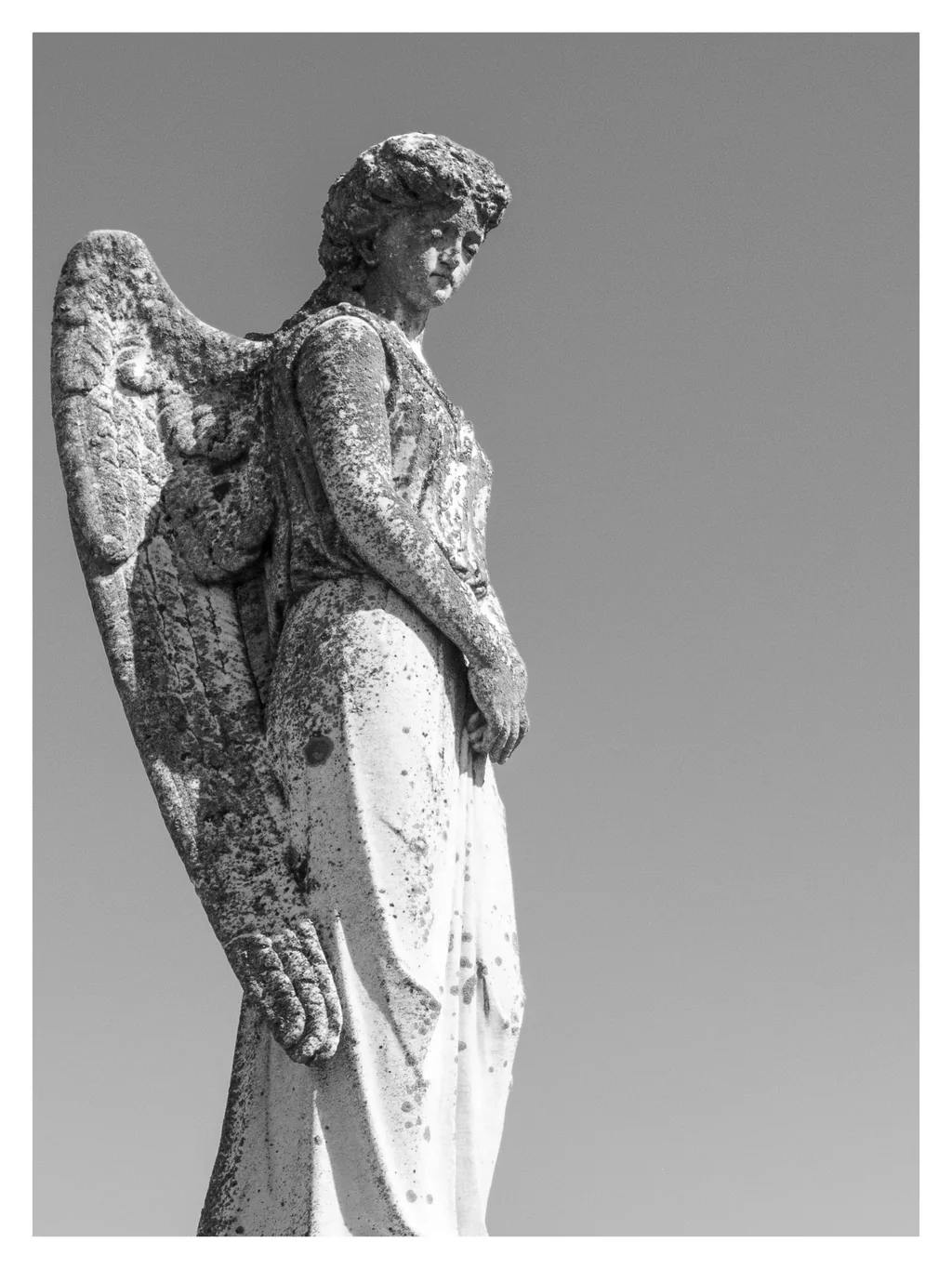 O îngeriță în cimitirul din Cernavodă. Privește pieziș, cu mină tristă.
