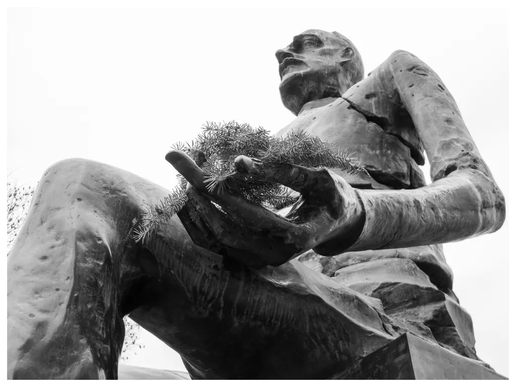 Mâna întinsă a spus o poveste