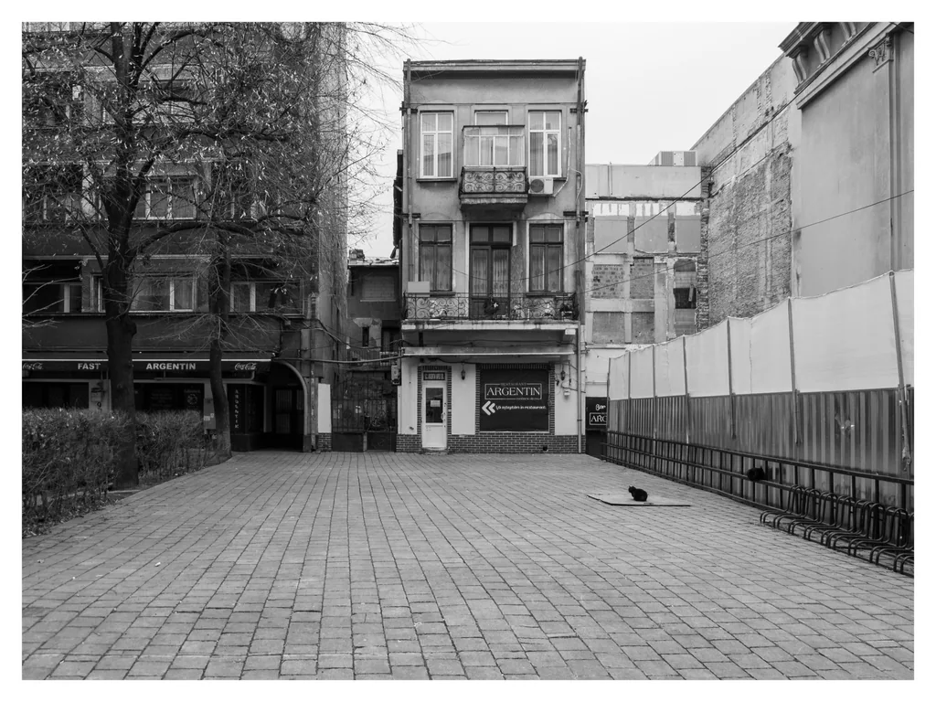 La Argentin, amfiteatru de facto al Facultății de Istorie