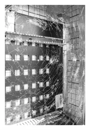 Un elefant se legăna. Pe o pânză de păianjen