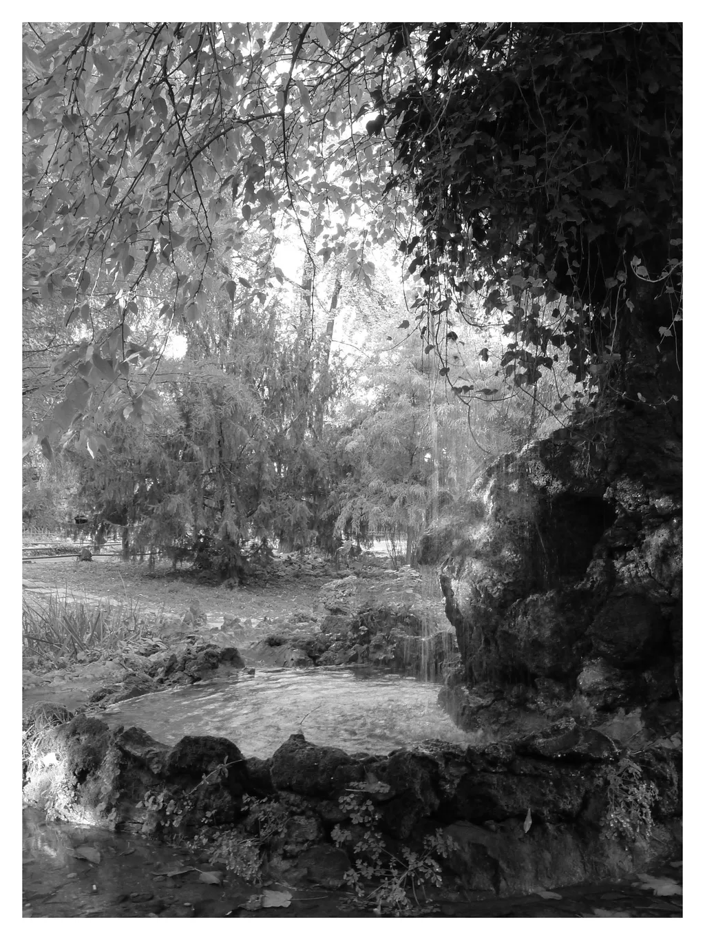 Feerie. Nimfa își părăsise izvorul