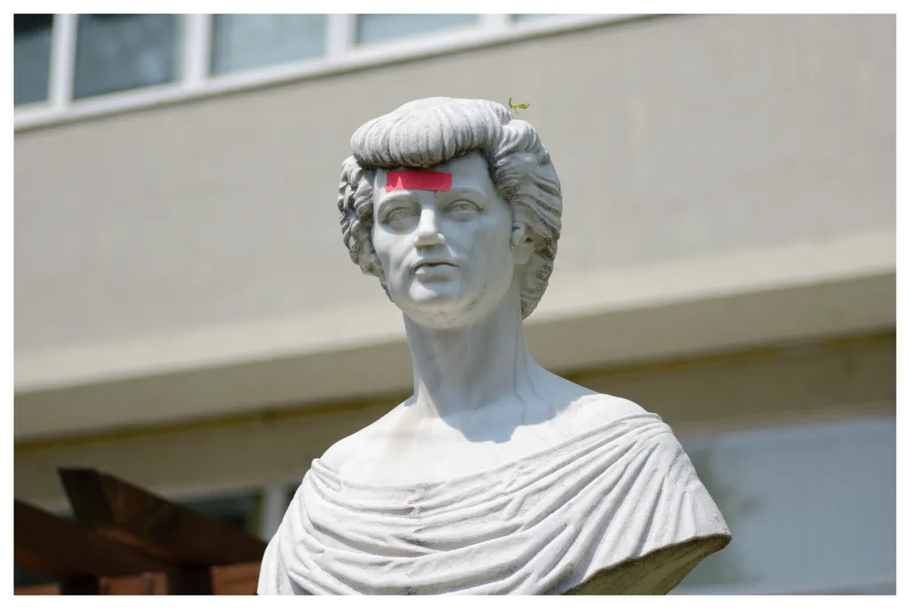 Mantis. Călugăriță pe capul unei doamne împietrite